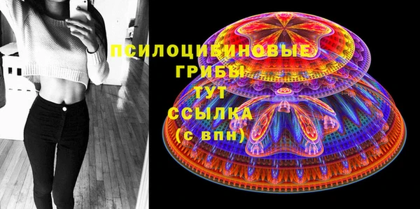 шишки Алексин
