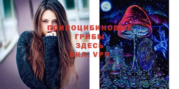 шишки Алексин