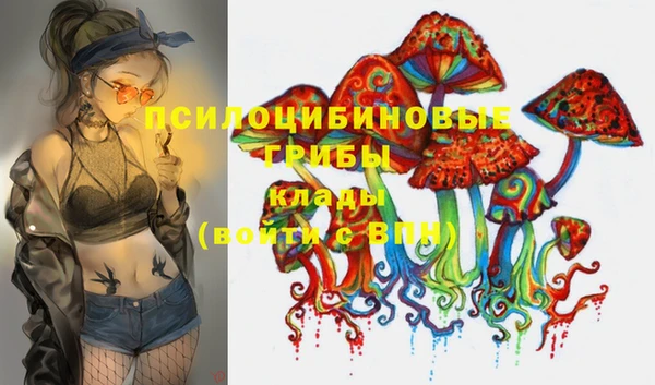 гашик Козельск