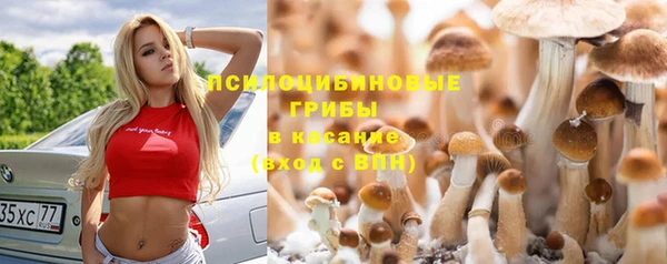 шишки Алексин