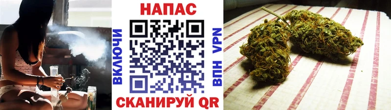 Бошки Шишки гибрид  купить наркотик  Подольск 